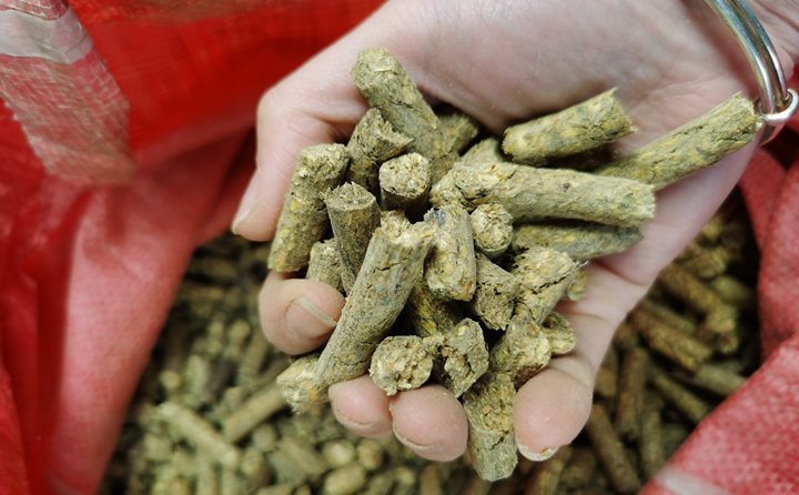 “小秸稈變身大能源?！痹擁椖客顿Y方負(fù)責(zé)人說，以往分散鍋爐房供熱成本高，供熱質(zhì)量不理想。如今，由生物質(zhì)發(fā)電的余熱供暖，熱效率達(dá)到80%以上，既可緩解煤炭短缺情況，又推動清潔供熱，為“碳達(dá)峰”“碳中和”目標(biāo)實現(xiàn)貢獻(xiàn)力量