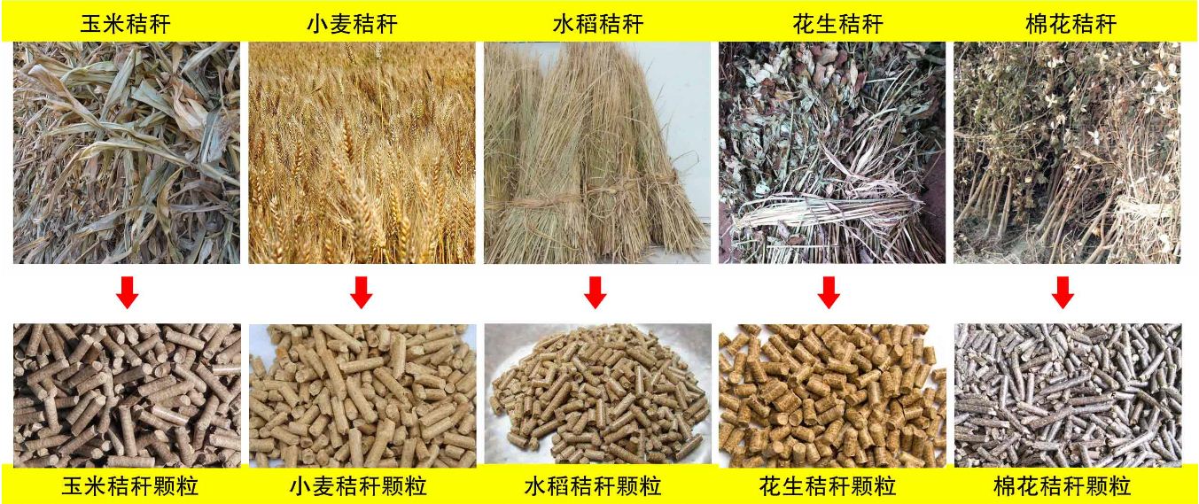 玉米秸稈、小麥秸稈等原材料